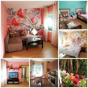 Apartamento de 2 Dormitorios